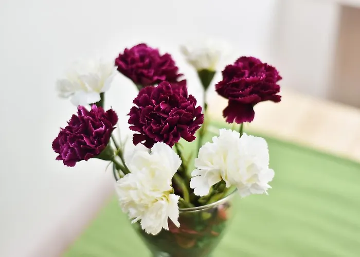 אכסניה Laisves Avenue 